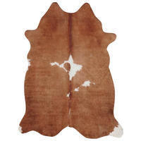 HOVĚZÍ KOŽEŠINA,  - Basics