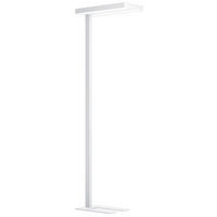 LED-STEHLEUCHTE - Weiss, Design, Kunststoff/Metall (61/28/196cm) - Eglo
