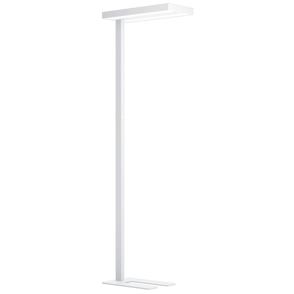 LED-STEHLEUCHTE - Weiss, Design, Kunststoff/Metall (61/28/196cm) - Eglo