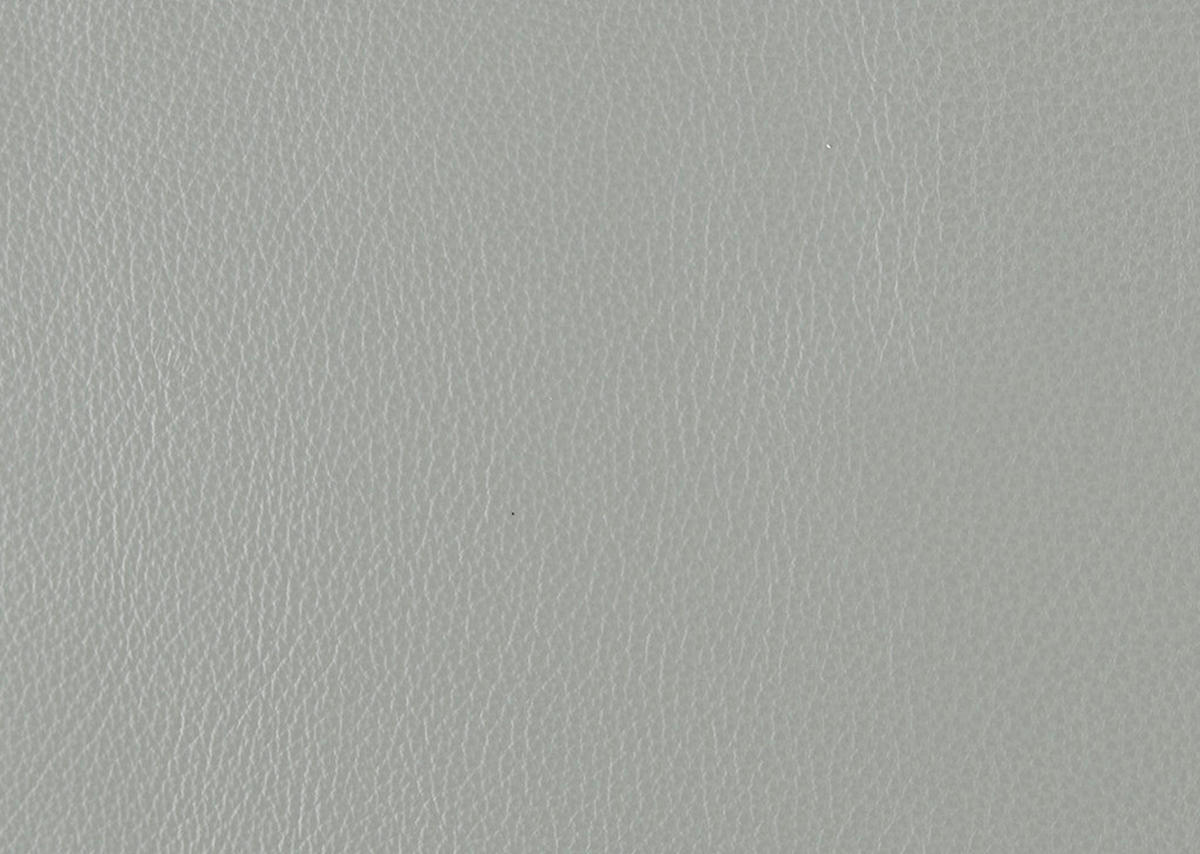2,5-SITZER in Echtleder Hellgrau  - Hellgrau/Schwarz, Design, Leder/Metall (200/102/92cm) - Johann Jakob