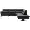 ECKSOFA in Echtleder Anthrazit  286/258 cm  - Anthrazit/Schwarz, Design, Leder/Metall (286/258cm) - Schöner Wohnen