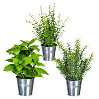 KUNSTPFLANZE Kräuter 23 cm  - Silberfarben/Zinkfarben, Design, Kunststoff/Metall (23cm) - P & B