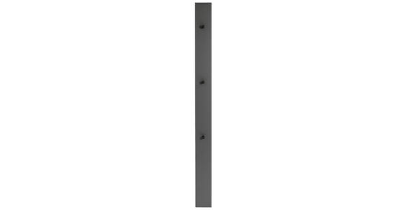 GARDEROBENPANEEL  in 14/170/5 cm  - Anthrazit/Grau, Design, Holzwerkstoff (14/170/5cm) - Dieter Knoll