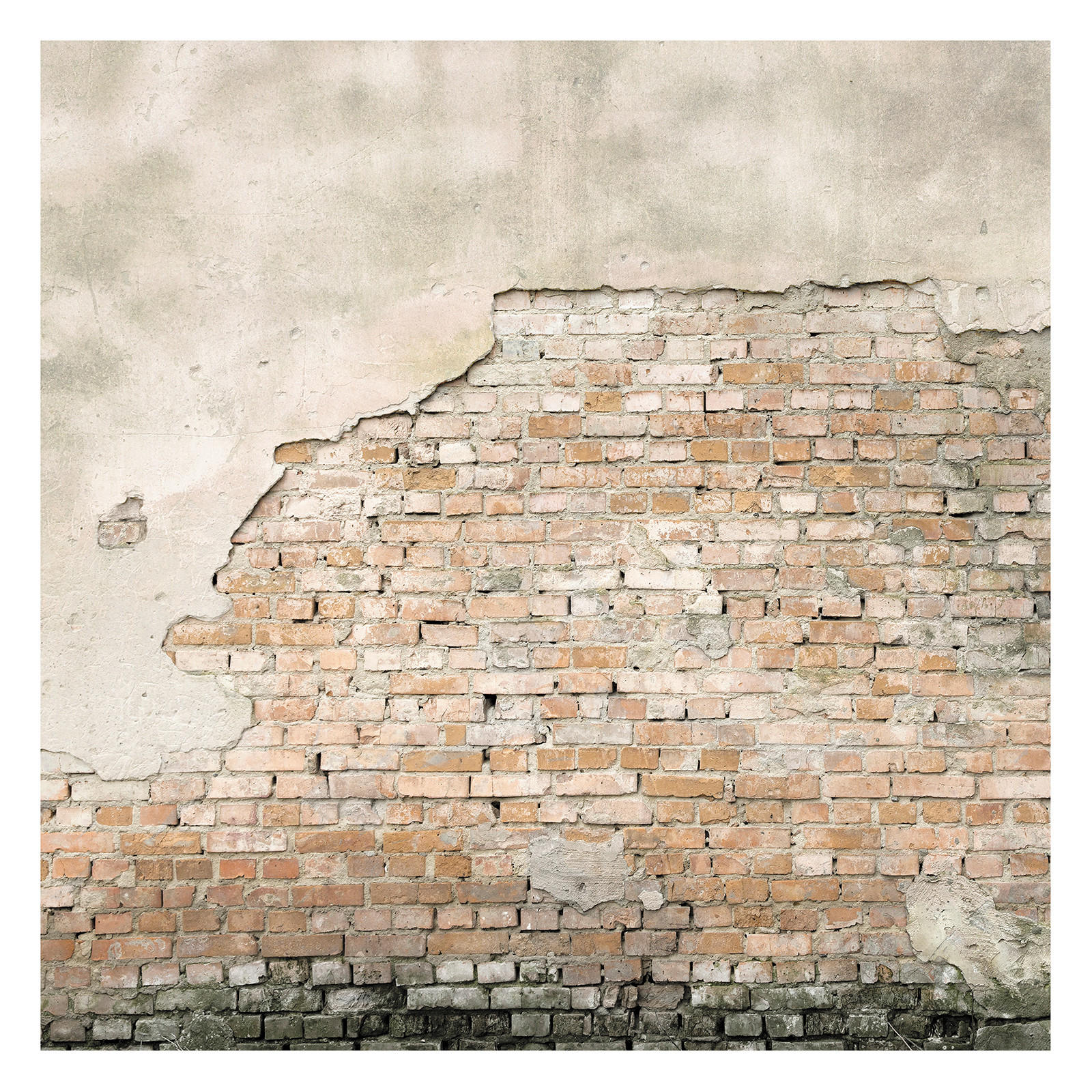 FOTOTAPETE  - Braun, Basics, Papier/Kunststoff (300/300cm) - Xora