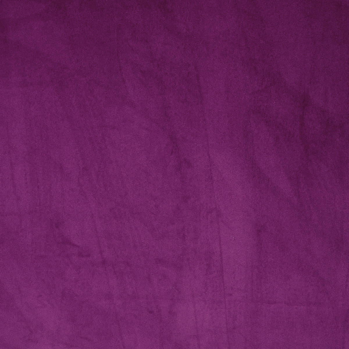 FERTIGVORHANG  blickdicht   135/245 cm  - Lila, Basics, Textil (135/245cm) - Esposa