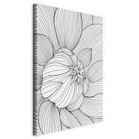 LEINWANDBILD Abstraktes, Blumen 40/60/1,2 cm  - Schwarz/Weiß, Basics, Holzwerkstoff/Textil (40/60/1,2cm) - artgeist