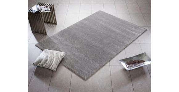 HOCHFLORTEPPICH 160/230 cm Bellevue Grau - Grau, Basics, Textil (160/230cm) - Novel