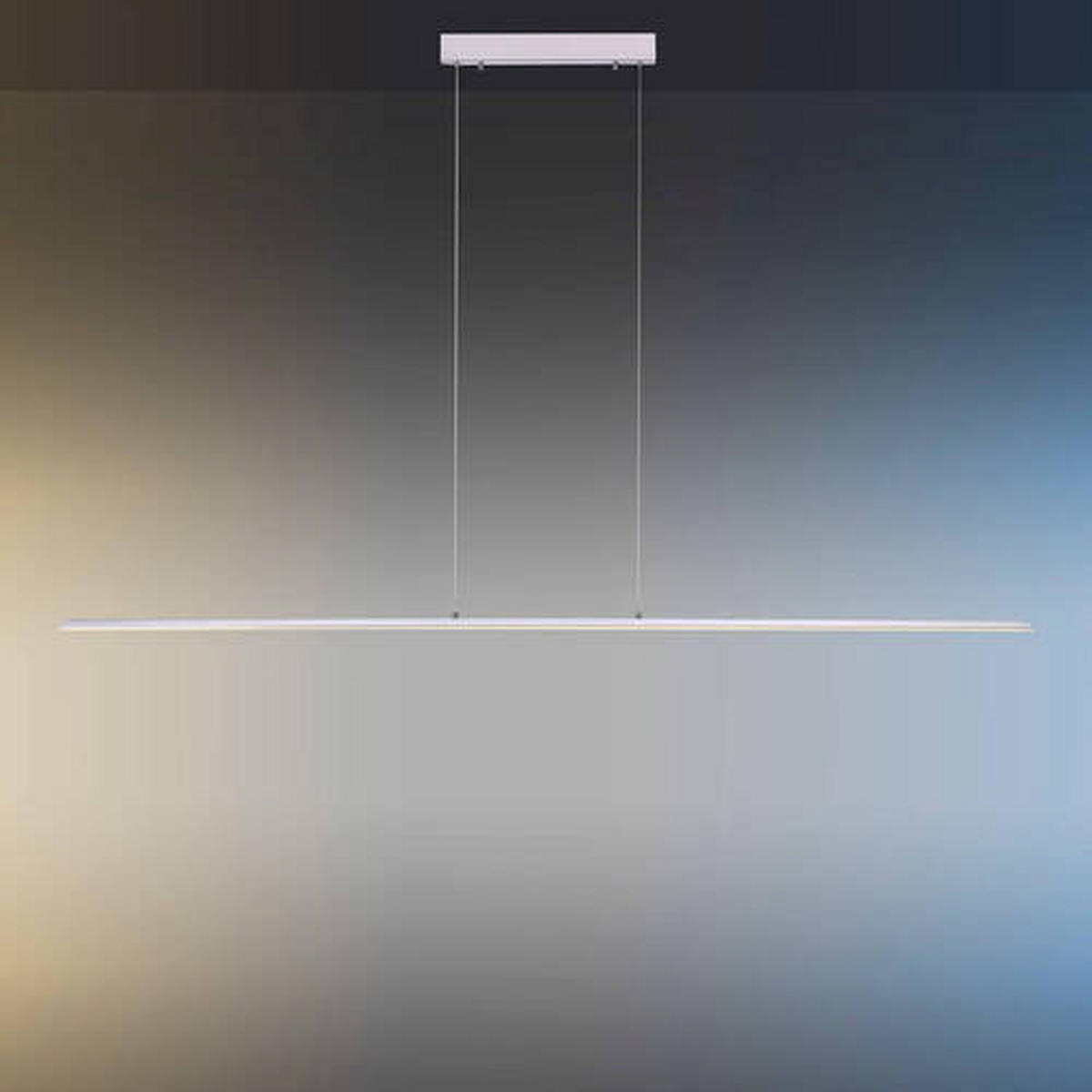 LED-HÄNGELEUCHTE 160/6/120 cm  - Silberfarben, Design, Kunststoff/Metall (160/6/120cm) - Neuhaus PURE