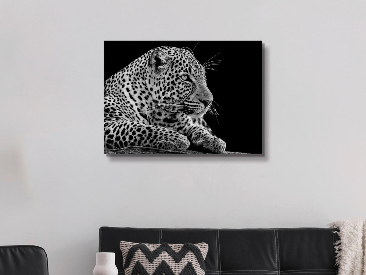 KUNSTDRUCK 70/50 cm  - Multicolor, LIFESTYLE, Holzwerkstoff/Textil (70/50cm) - Monee