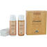 MÖBELPFLEGE - Basics (0,2l) MÖBELPFLEGE - Basics (0,2l)