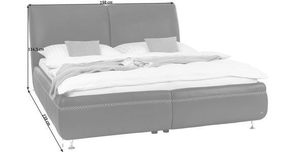 POLSTERBETT 160/200 cm - Chromfarben/Braun, Design, Leder/Metall (160/200cm) - Dieter Knoll