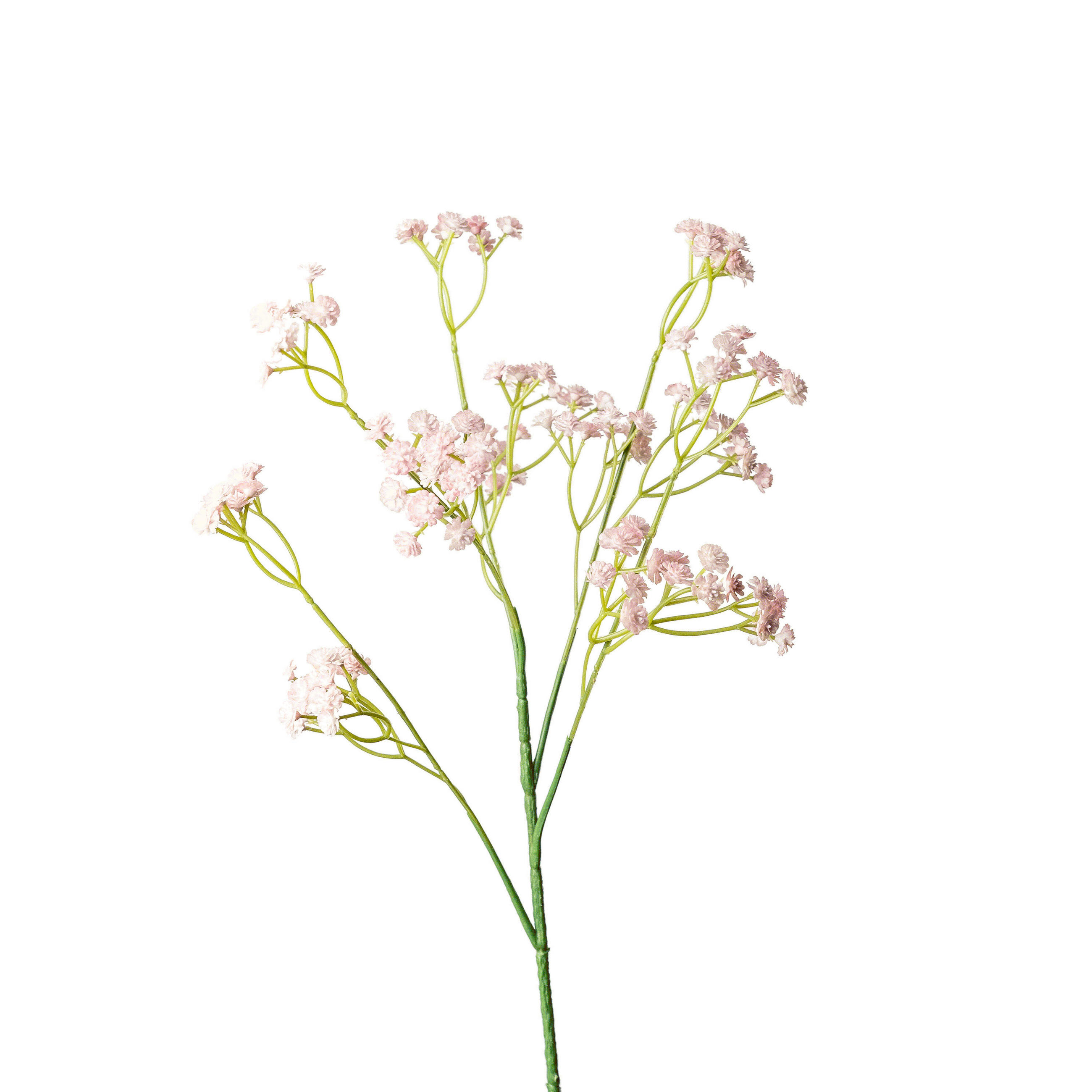 GYPSOPHILA  - Pink/Rosa, Basics, Kunststoff (65cm)