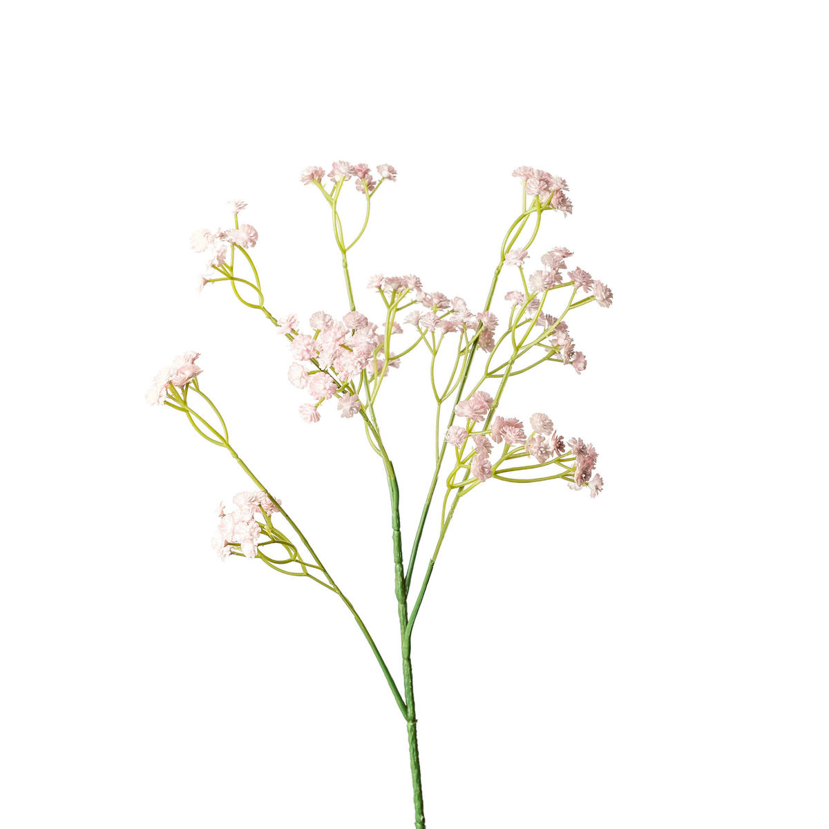 GYPSOPHILA  - Pink/Rosa, Basics, Kunststoff (65cm)