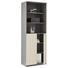 AKTENSCHRANK - Champagner/Ahornfarben, KONVENTIONELL, Holzwerkstoff (80/222,5/44,5cm) AKTENSCHRANK - Champagner/Ahornfarben, KONVENTIONELL, Holzwerkstoff (80/222,5/44,5cm)