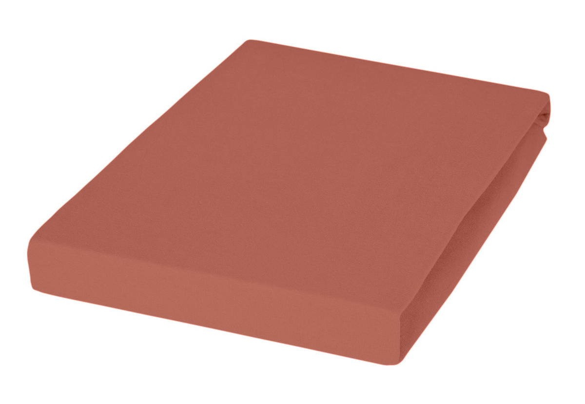 SPANNBETTTUCH Jersey  - Rotbraun, Basics, Textil (200/200cm) - Janine