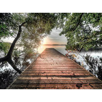 GLASBILD Bäume, Stege, Wasser 120/80 cm  - Braun/Grün, Basics, Glas (120/80cm) - Monee