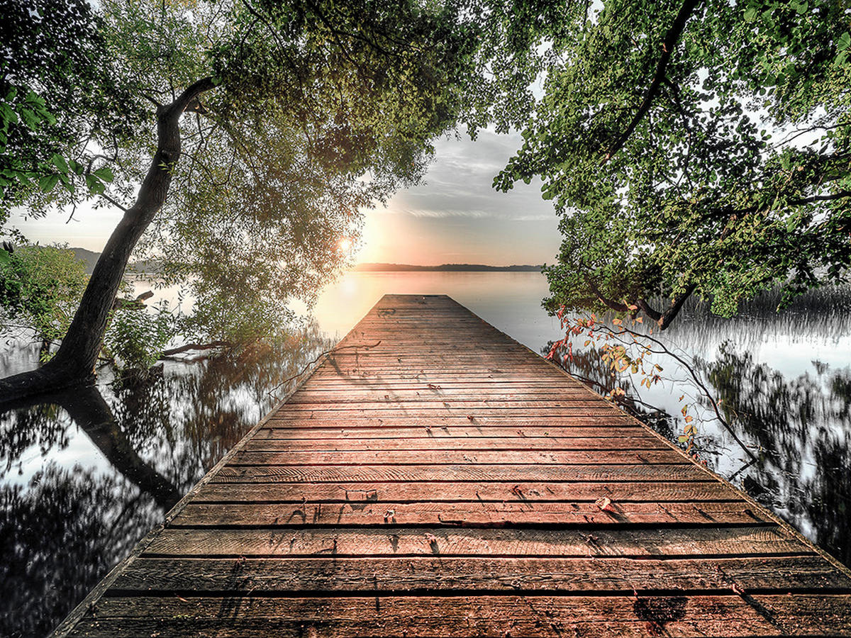 GLASBILD Bäume, Stege, Wasser 120/80 cm  - Braun/Grün, Basics, Glas (120/80cm) - Monee