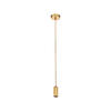 PENDELLEUCHTE 10/300 cm  - Goldfarben, KONVENTIONELL, Metall (10/300cm) - Searchlight