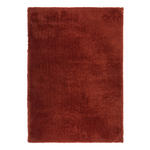 HOCHFLORTEPPICH  Cosy  - Kupferfarben, KONVENTIONELL, Textil (60 /110cm) - Boxxx