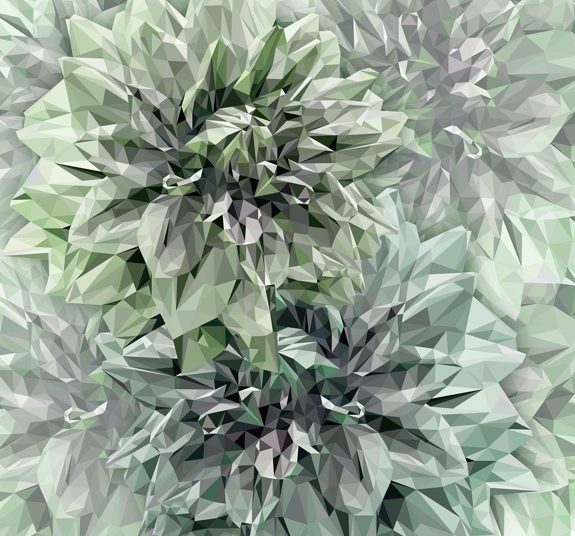 Xora Fototapete Mehrfarbig 300x280 cm