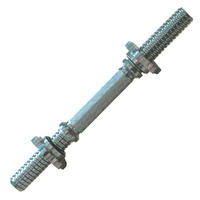 HANTELSTANGE  - Silberfarben, KONVENTIONELL, Metall (36/3/3cm)