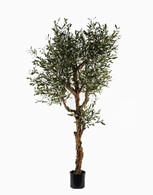 MŰNÖVÉNY - fekete/zöld, Basics, műanyag