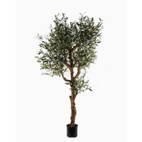 MŰNÖVÉNY - fekete/zöld, Basics, műanyag