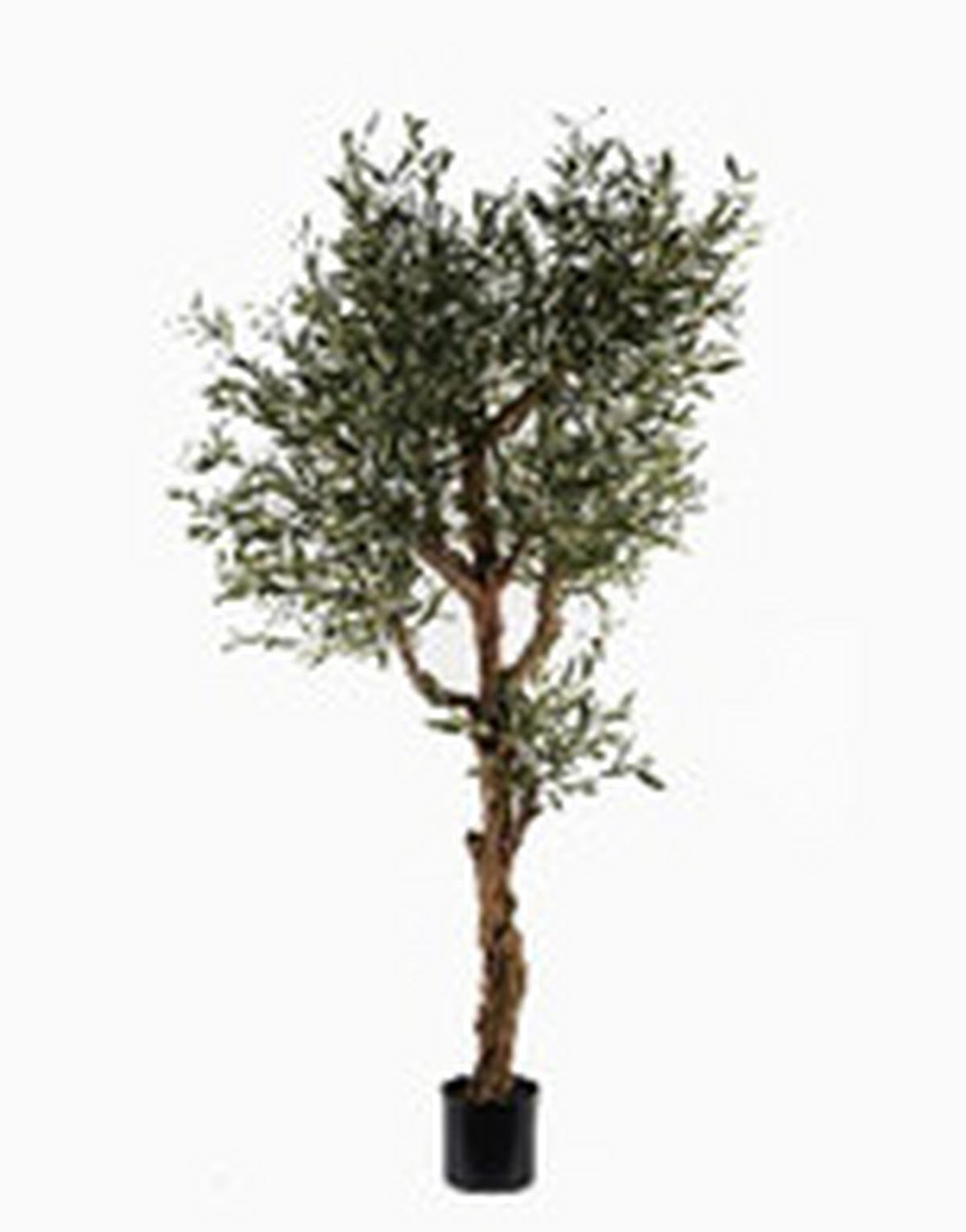 MŰNÖVÉNY - fekete/zöld, Basics, műanyag