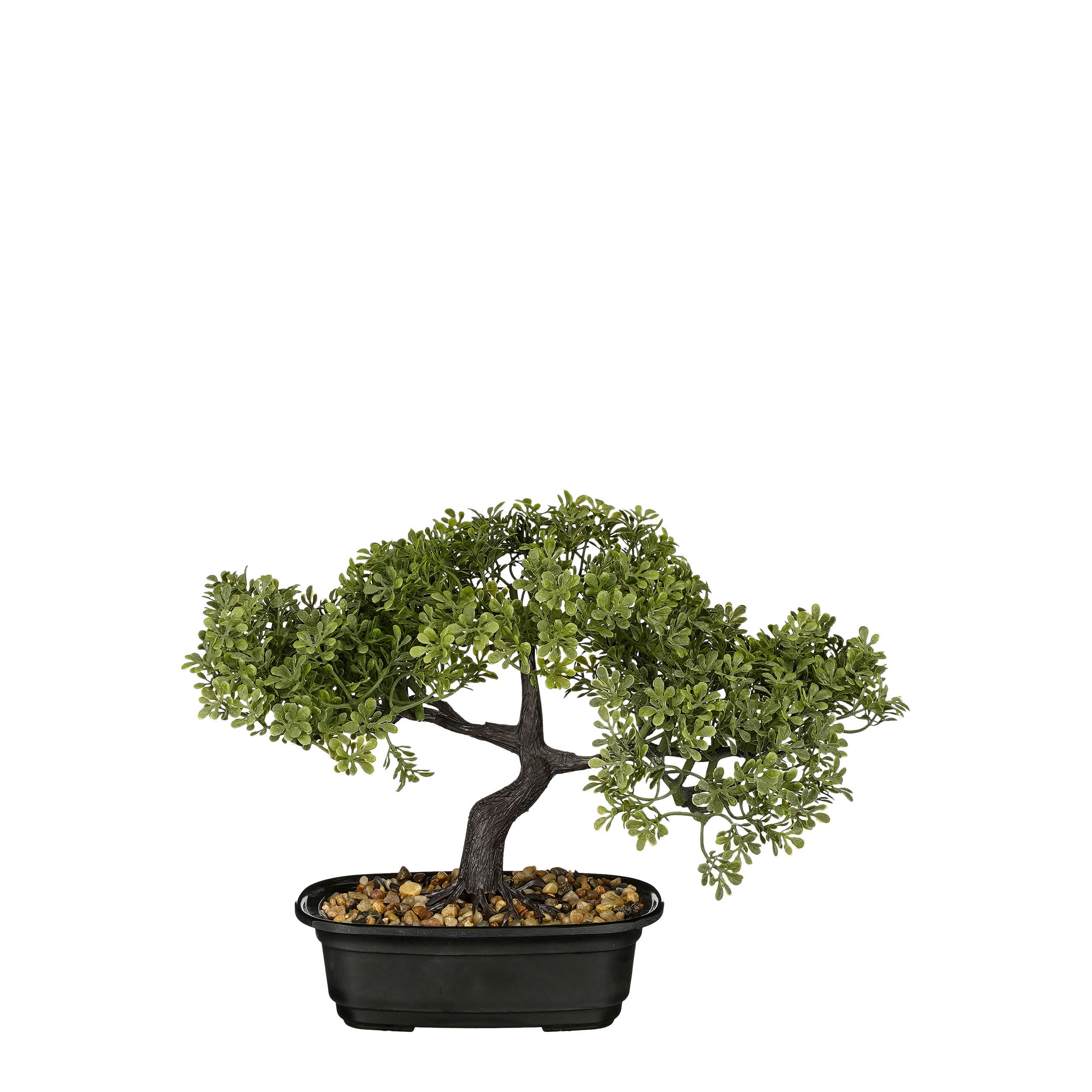BONSAI  - grön, Basics, plast (33/17/26cm)