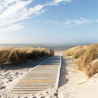 GLASBILD Strand & Meer  - Multicolor, KONVENTIONELL, Glas (30/30/1,40cm) - Euroart