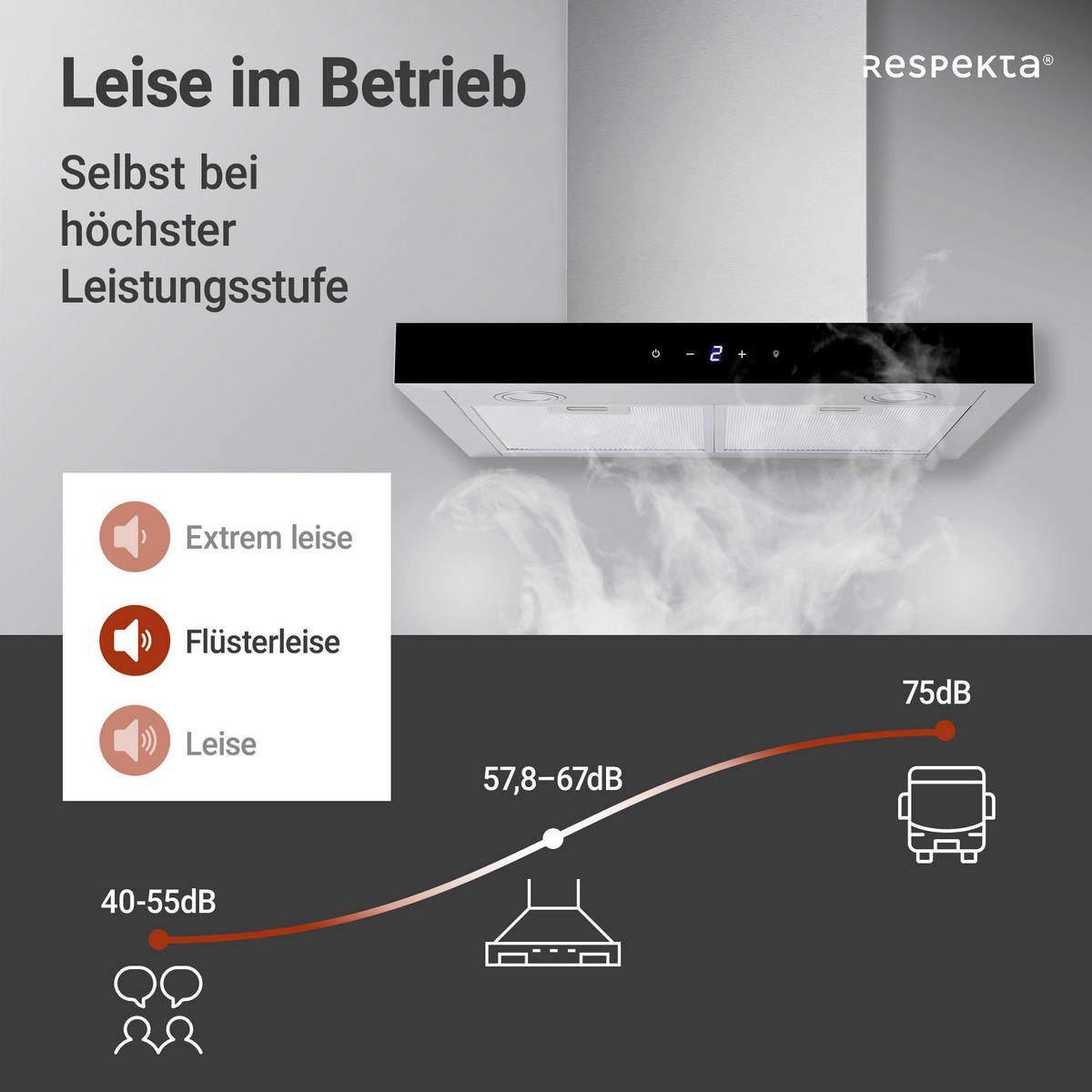 DUNSTABZUGSHAUBE 190030006002-20  - Edelstahlfarben, Basics, Metall (59,5/55-100/50cm) - Respekta