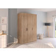 DREHTÜRENSCHRANK 151/223/60 cm 3-türig Sonoma Eiche  - Silberfarben/Sonoma Eiche, Design, Holzwerkstoff/Kunststoff (151/223/60cm) - Novel
