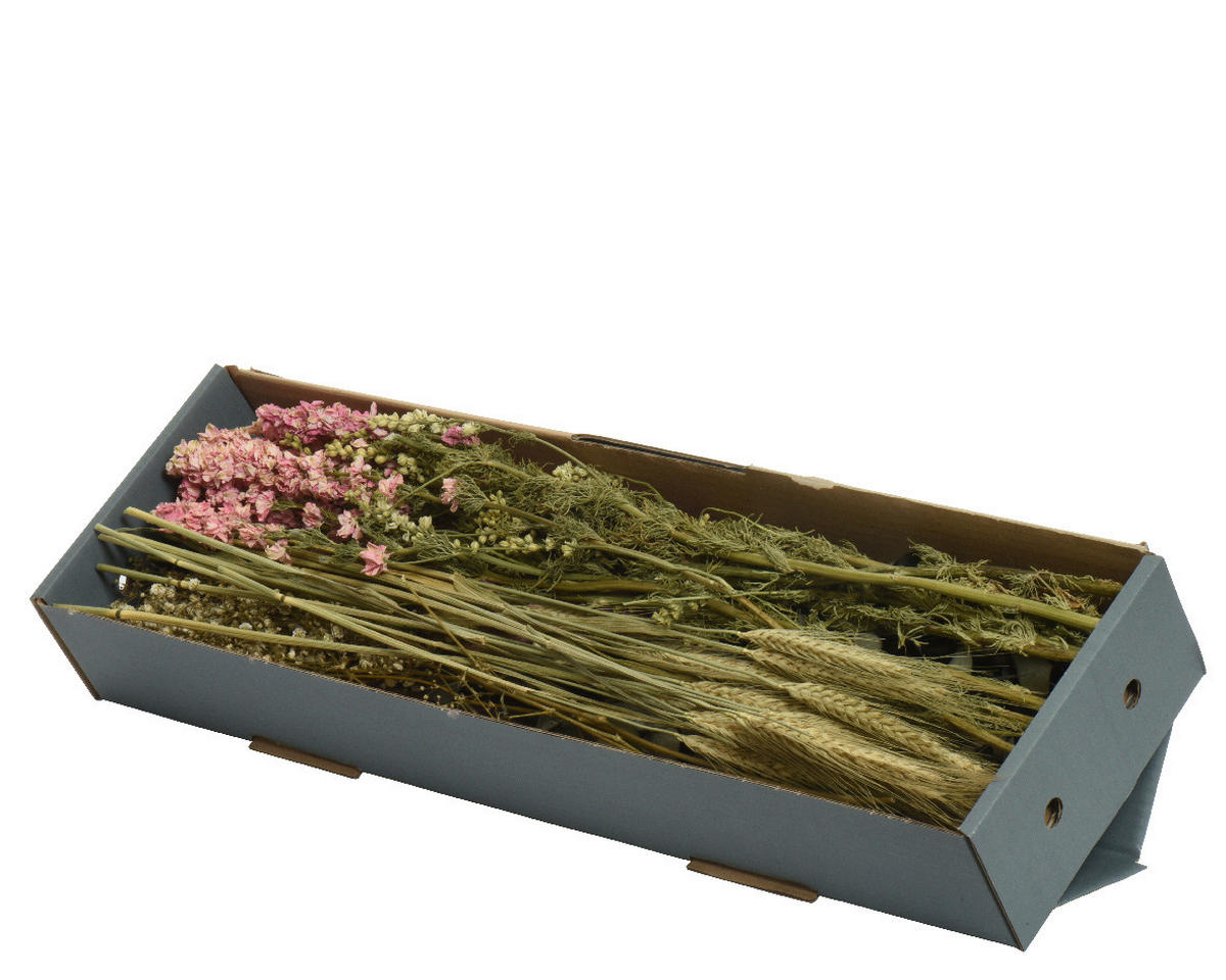 DIY-SET  - Hellrosa/Grün, LIFESTYLE, Naturmaterialien (20,00/20,00/60,00cm)