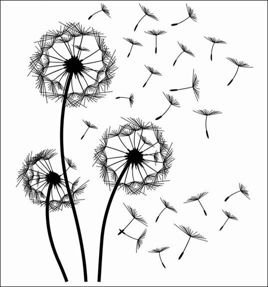 SAMOLEPKA NA ZEĎ - vícebarevná, Basics, plast (50/70/0,10cm) - Euroart