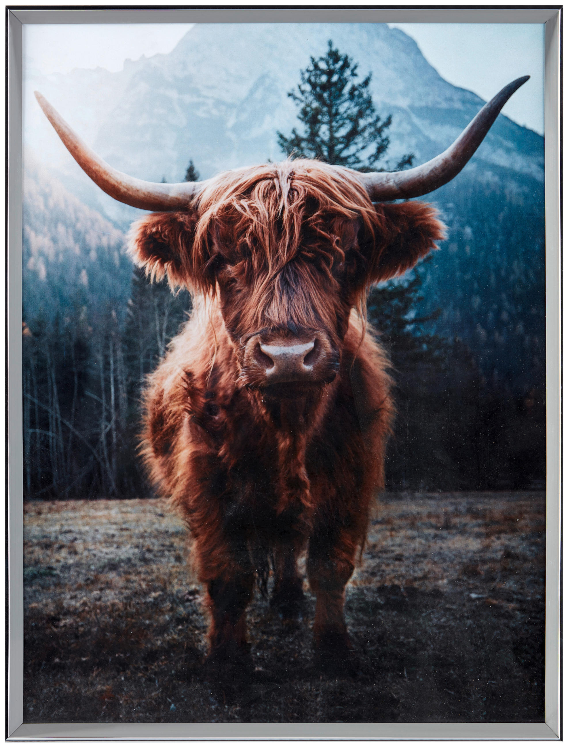 Bilderrahmen 30x40 Cm Cameo Kunststoff Grau. 30,7x40,7 Cm