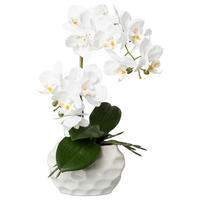 KUNSTPFLANZE Orchidee 33 cm  - Weiß/Grün, Design, Keramik/Kunststoff (33cm) - P & B