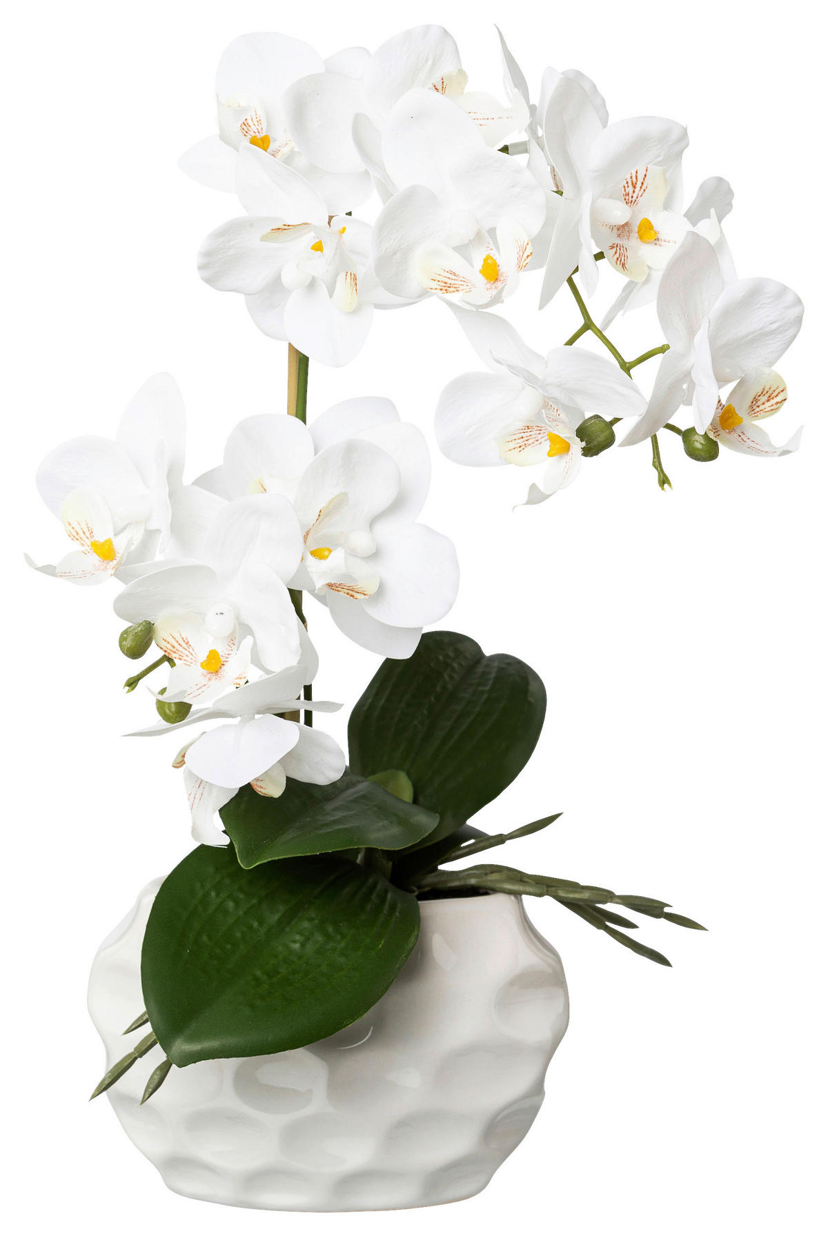 KUNSTPFLANZE Orchidee 33 cm  - Weiß/Grün, Design, Keramik/Kunststoff (33cm) - P & B