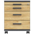 ROLLCONTAINER Anthrazit, Hickory  - Anthrazit/Hickory, Design, Holzwerkstoff/Kunststoff (42,7/54,4/60cm) - Moderano