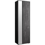 GARDEROBENSCHRANK 60/196/39 cm  - Anthrazit/Schwarz, Design, Glas/Holz (60/196/39cm) - Johann Jakob