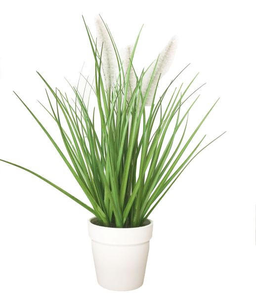 DEKORATIONSGRÄS - grön, Basics, plast (36cm) - Ambia Home