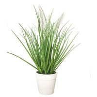 DEKORAČNÍ TRÁVA, 36 cm - zelená, Basics, plast (36cm) - Ambia Home