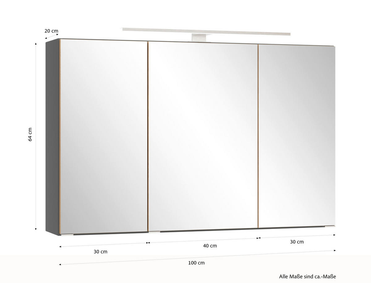 SPIEGELSCHRANK 100/64/20 cm  - Wildeiche/Edelstahlfarben, Trend, Glas/Holzwerkstoff (100/64/20cm) - Held