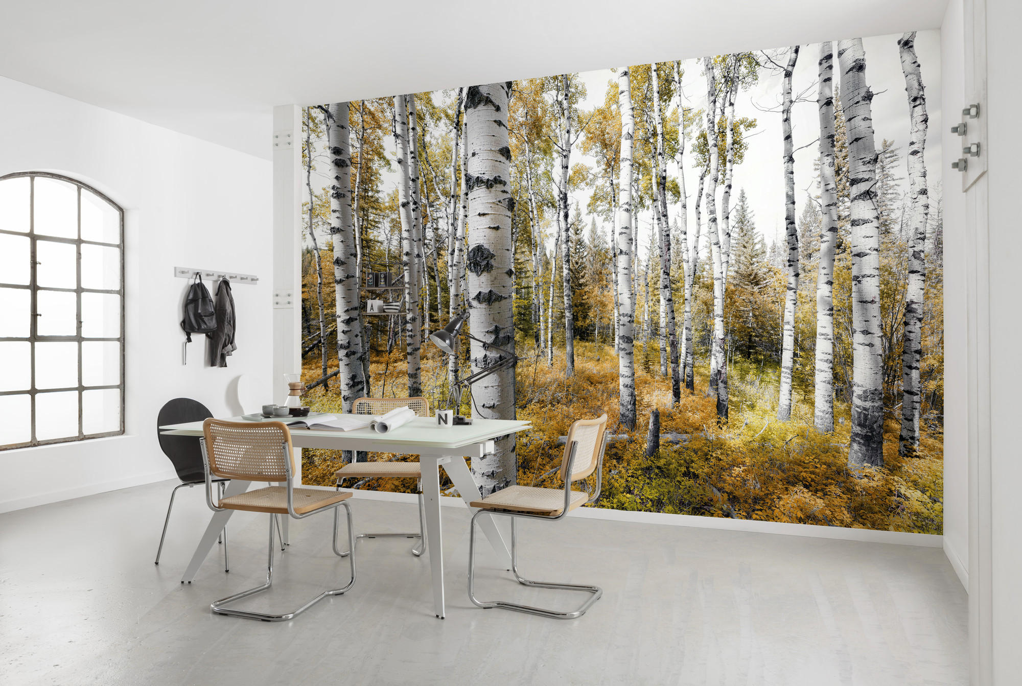 FOTOTAPETE  - Multicolor, Trend, Textil (450/280cm) - Xora