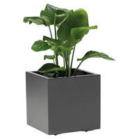BLUMENKASTEN GREENER KEBE  - Anthrazit, Basics, Kunststoff (39,5/39,5/39,5cm)