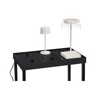 AKKULADEGERÄT  - Schwarz, Basics, Kunststoff (47/29/47,6cm) - Dieter Knoll
