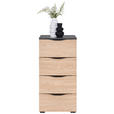 REGAL Anthrazit  - Anthrazit/Schwarz, KONVENTIONELL, Holzwerkstoff/Kunststoff (46/90/40cm) - Hom`in