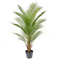 MŰNÖVÉNY - fekete/zöld, Basics, műanyag