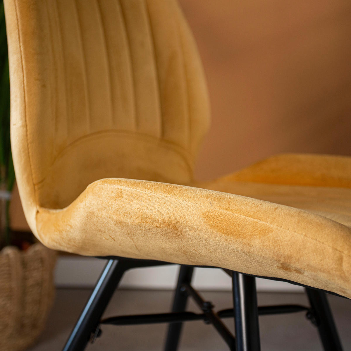 STUHL-SET 4 Stück  in Samt  - Gelb/Schwarz, Design, Textil/Metall (47/82/55cm) - MID.YOU