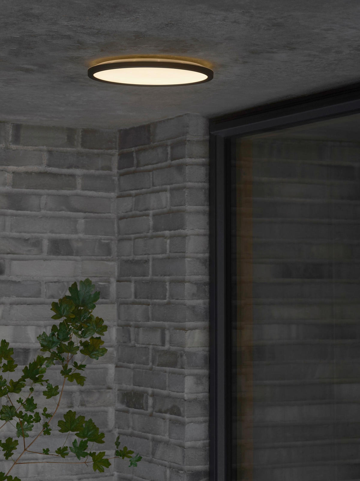 LED-DECKENLEUCHTE OJA 29.5/2.5 cm  - Schwarz, Design, Kunststoff (29.5/2.5cm) - Nordlux