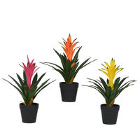 Plantă Artificială - Basics (11,00/11,00/32,00cm)